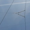 P56 - Regards urbains Bruxelles  (image 2)